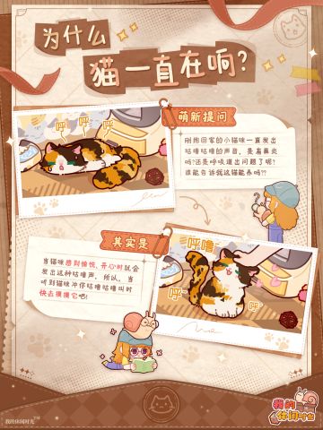🐈铲屎官必备手册｜为什么猫一直在响？