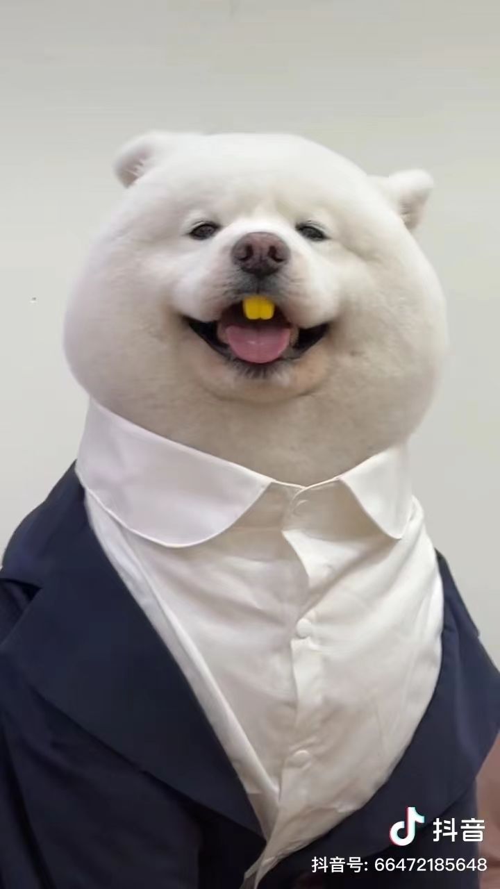 怎么回事怎么回事啊！！！！手游难道打击感、画面精美只能二选一吗啊啊啊啊！！！！！！！有没有推荐啊啊啊啊#游戏推荐 #游戏荒截图
