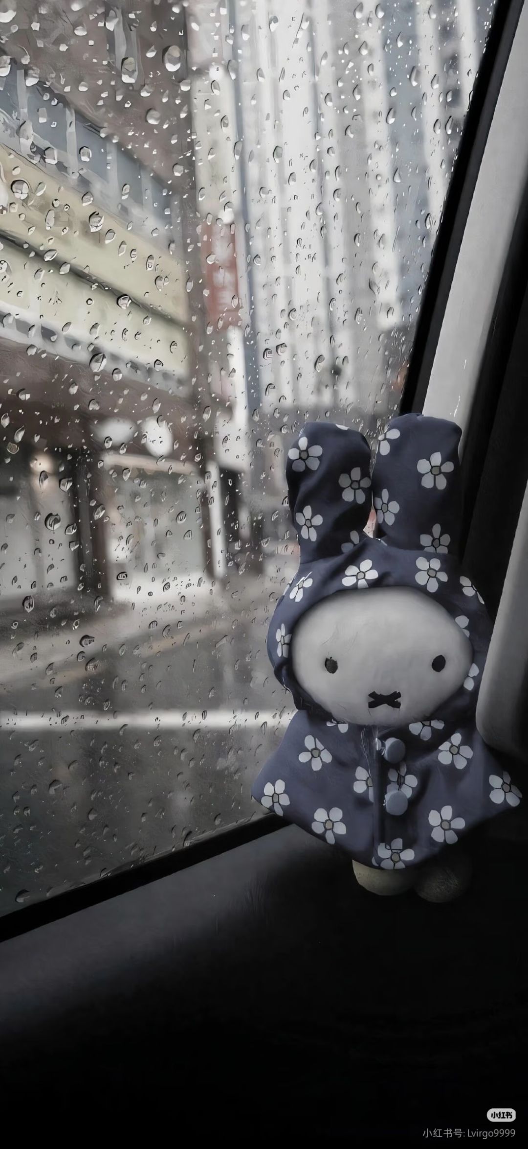 ꒦ິ^꒦ິ一起玩游戏吗? 3