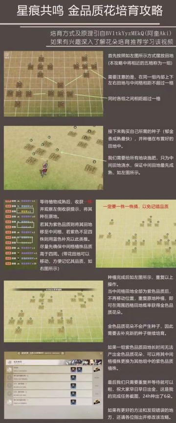 转发的种花攻略。