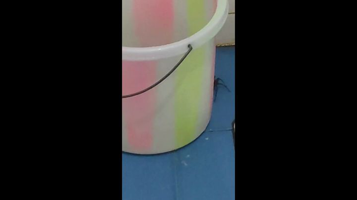 皓岚被福克斯穿三现场截图