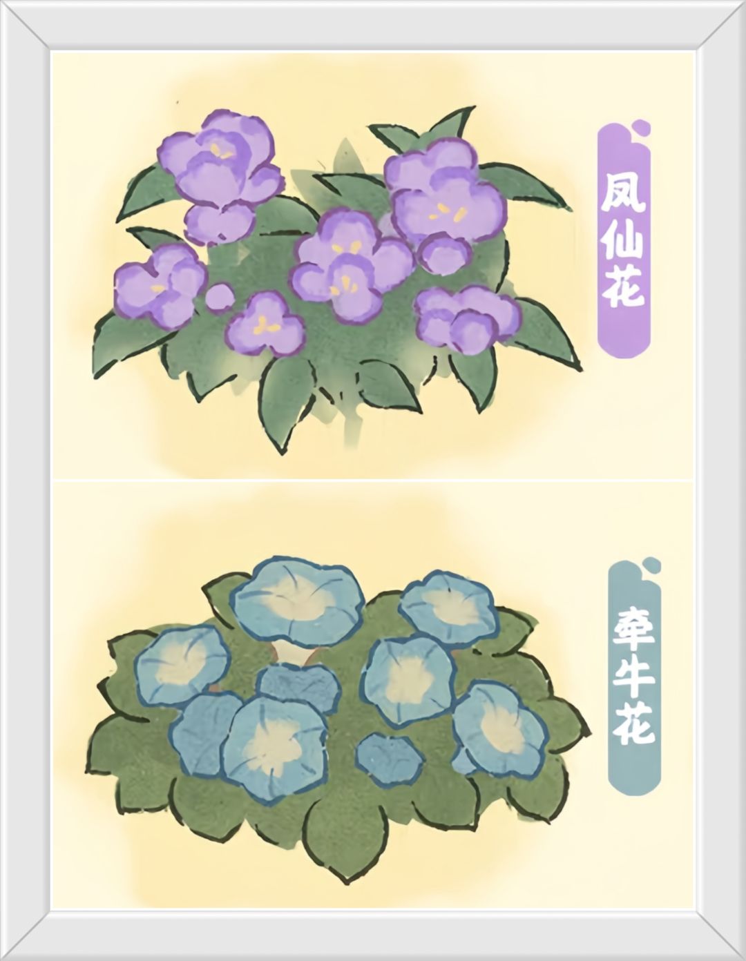 桃源花圃新花〔牵牛花、凤仙花〕上线预告! 3