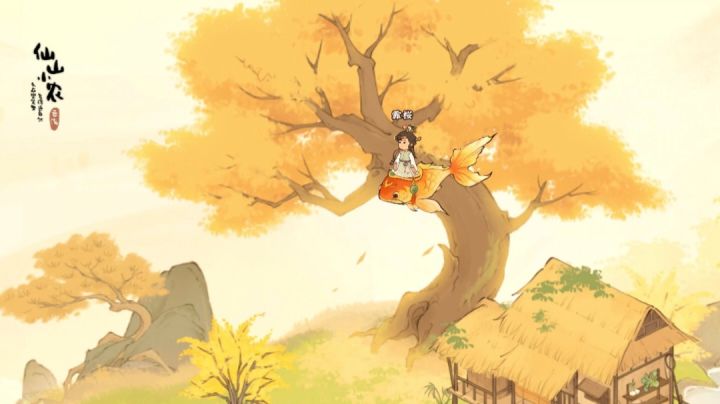布局记录截图