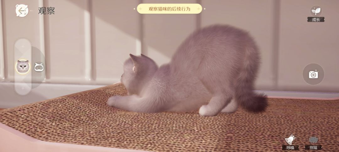 动态图片 5