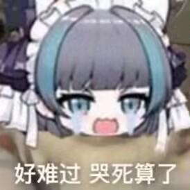 越打越卡顿,指的是打团必掉帧,小团还好 1