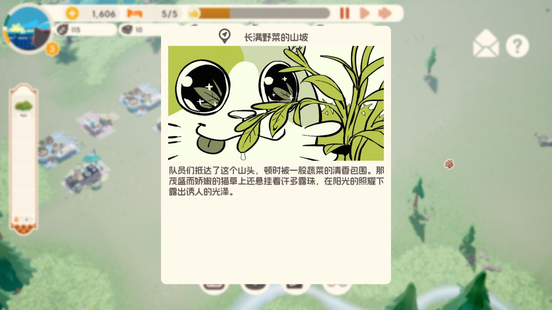 森林的脚步声,总会带来新的惊喜~🌿🐾 1