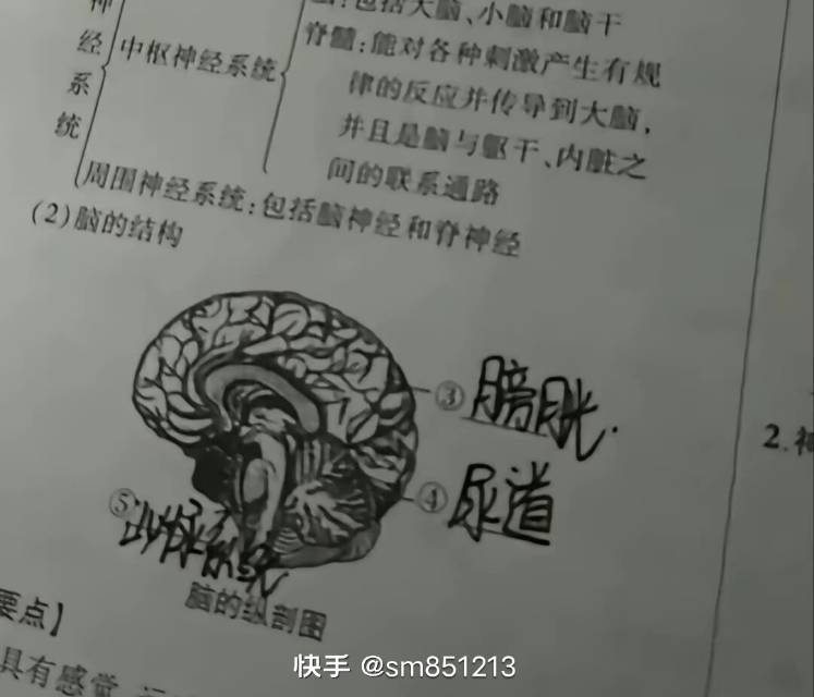 名将杀，设计师烙饼，新英雄 3