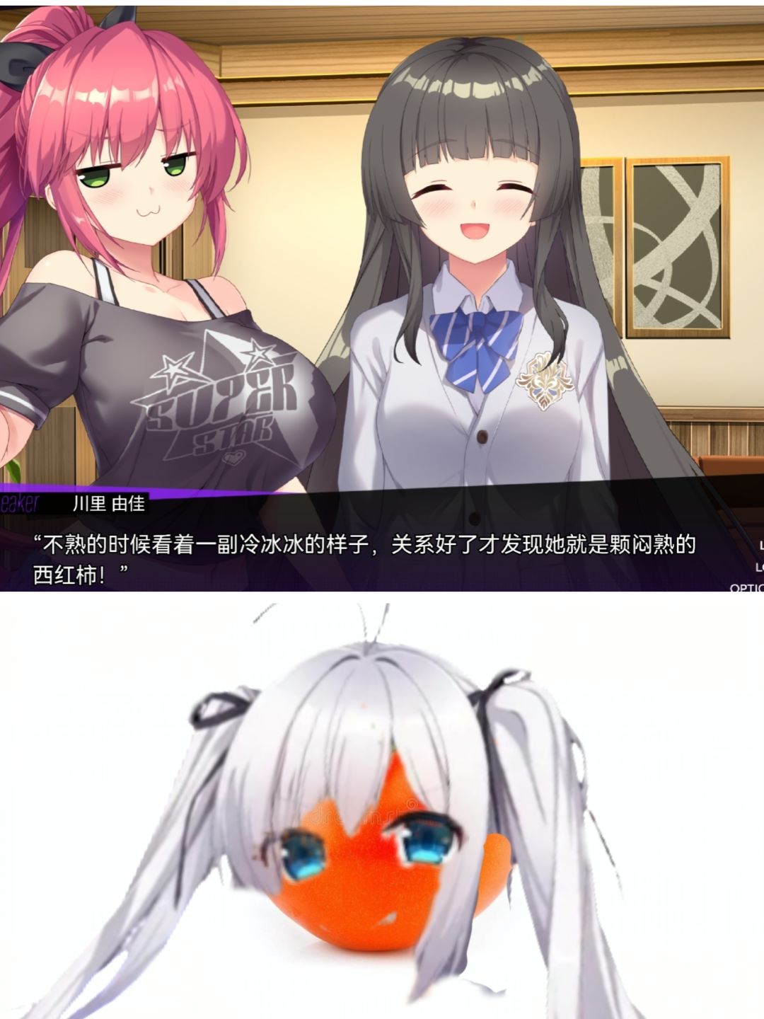 世界上根本没有这样的西红柿 1