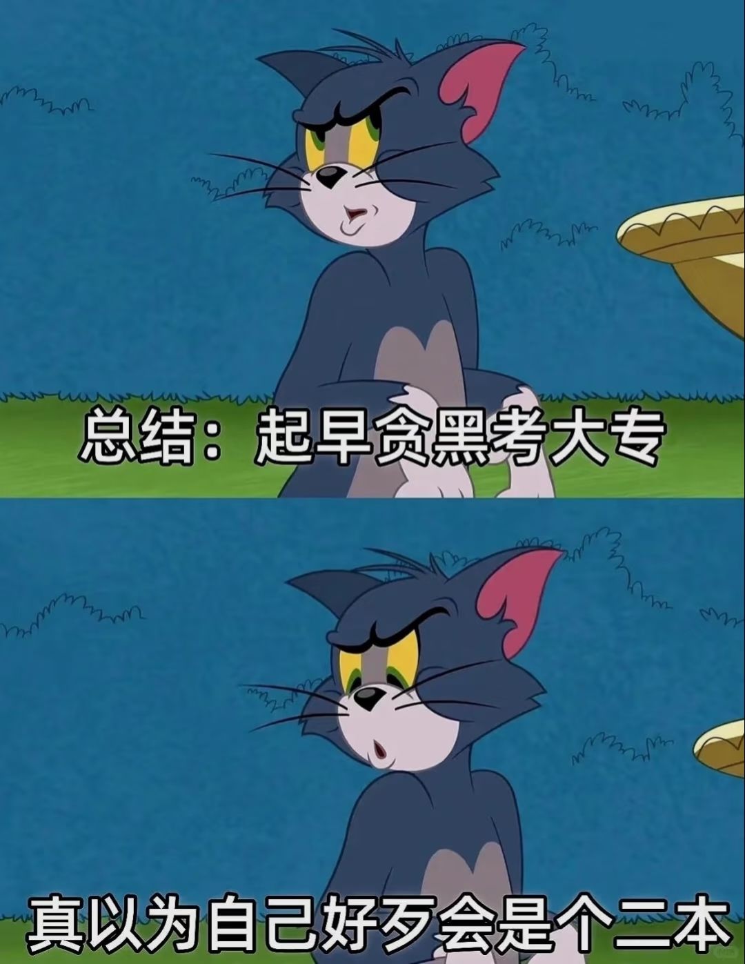 梗图|人生没有什么标准答案 3