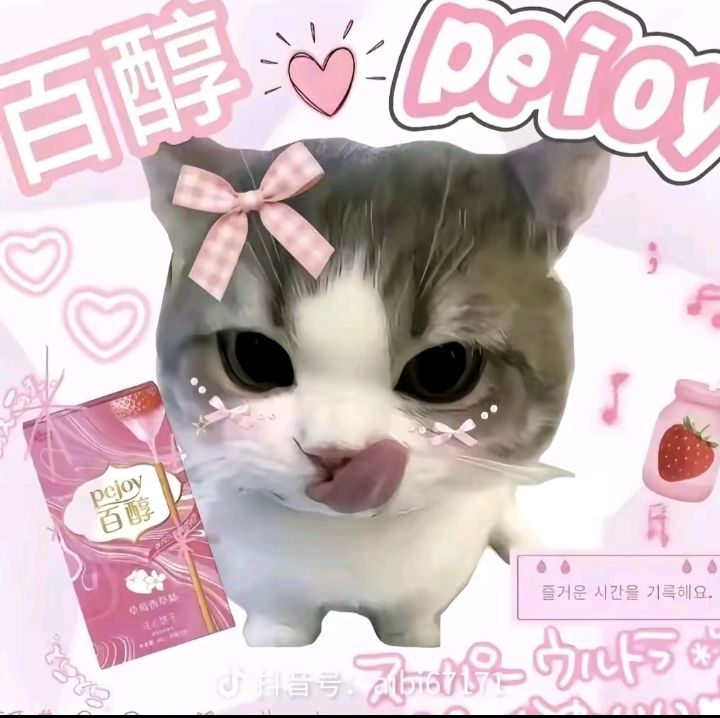 动态图片 13