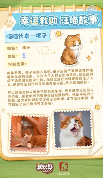 幸运救助汪喵故事