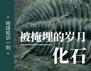 知识一刻 | 化石形成的五个基本条件，你知道几个？