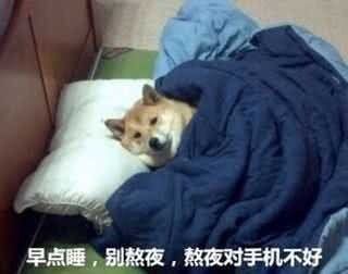 动态图片 5