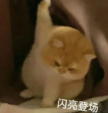 甜品屋【七夕专属签到活动】开启啦！