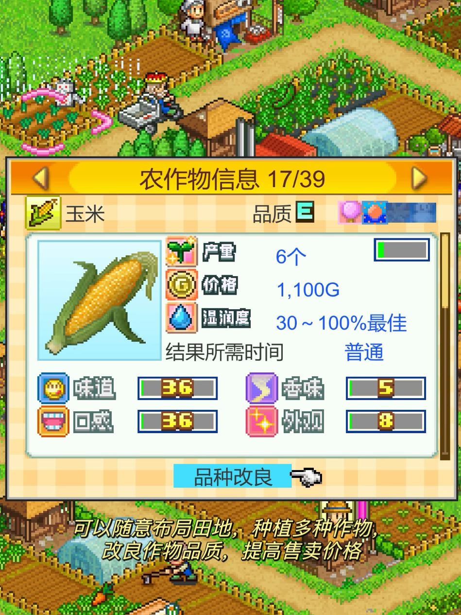我最喜欢的开罗游戏,没有之一! 2