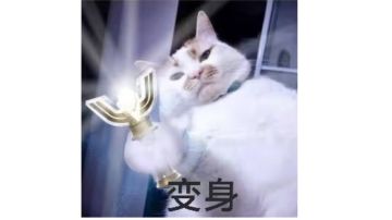 使魔攻略: 技能宝具篇