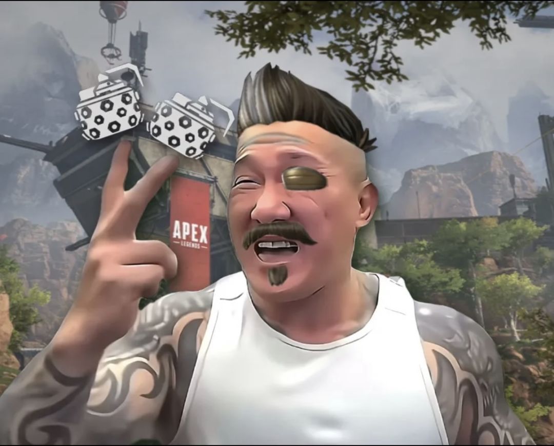 👍太权威了平安京 1