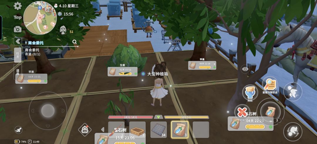 苹果树 1