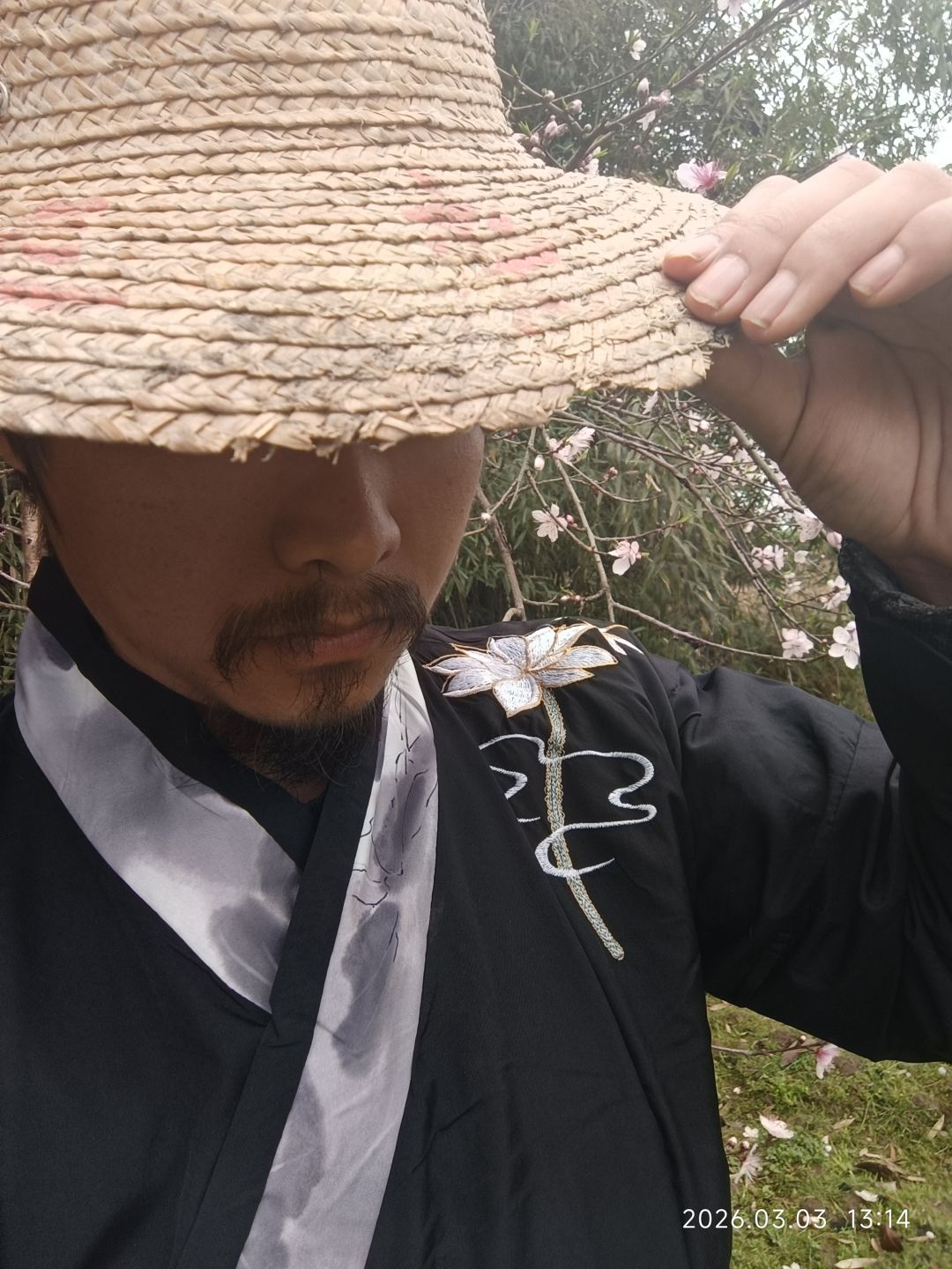元宵快乐!甄姬很强,但没啥特殊机制 2