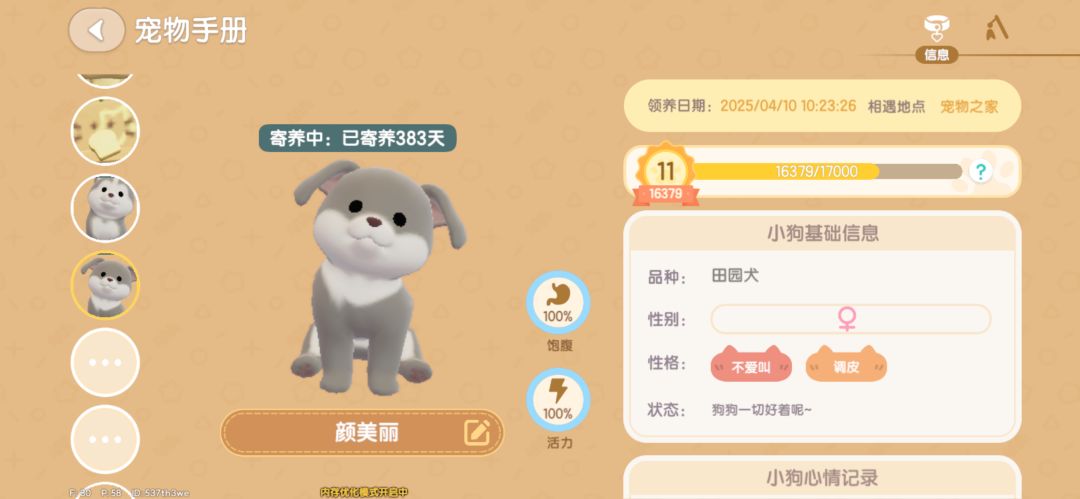 看看你们的小狗寄养多久了 2