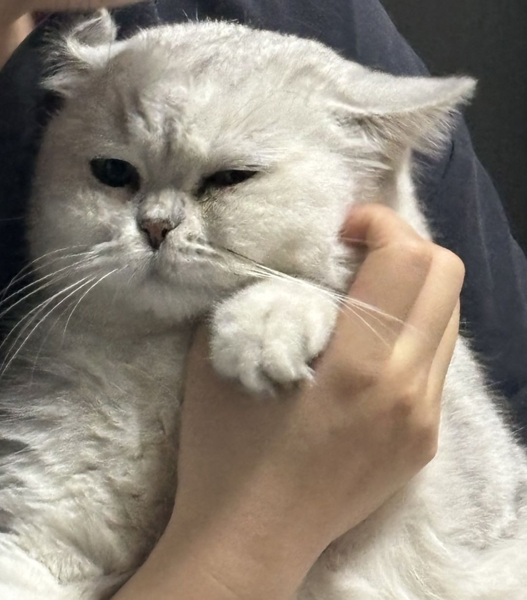 各位帅哥美女们 1