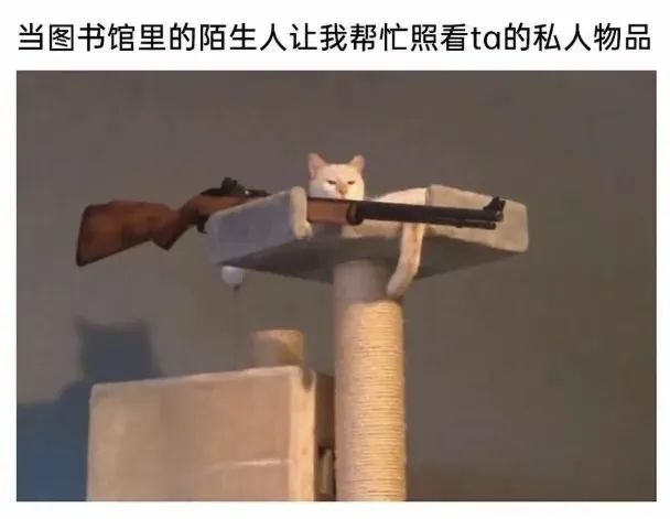 今日份梗图分享(论坛关注破两千特别篇) 1