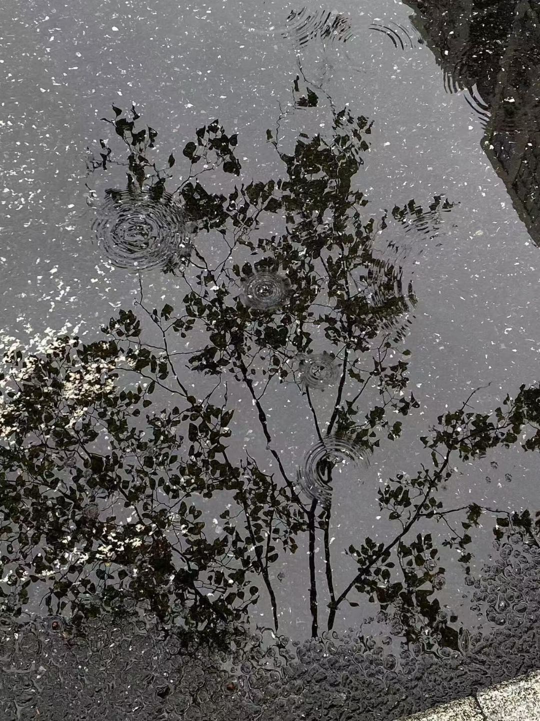 哈哈哈,新手做任务。 1
