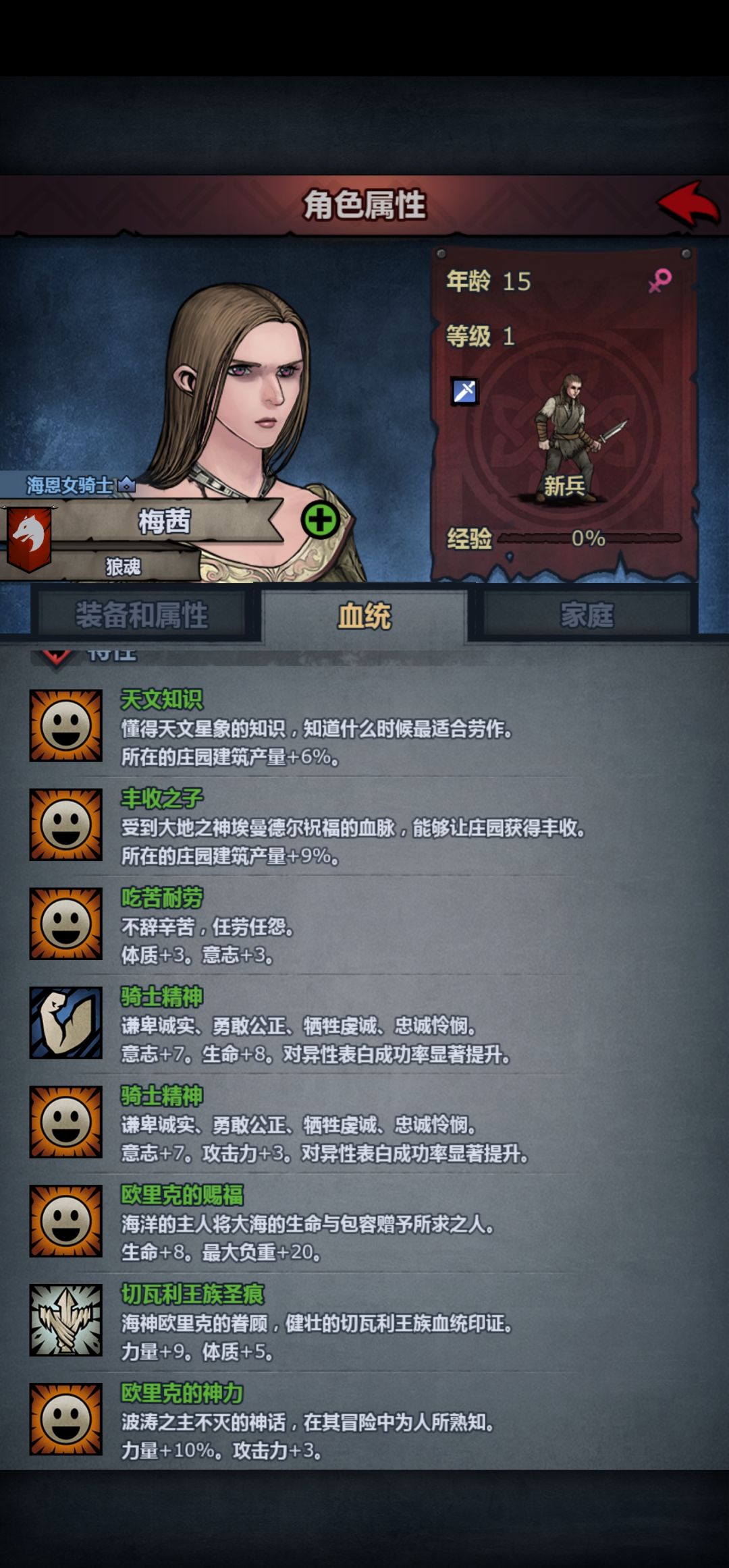 一个真正的骑士 1