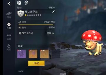 蘑菇“龙”嗷，又是一波的好评如潮