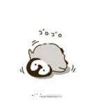 伊贺篇