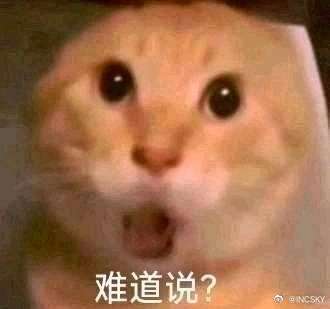 我有一个想法 2