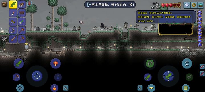 刚玩泰拉瑞亚截图