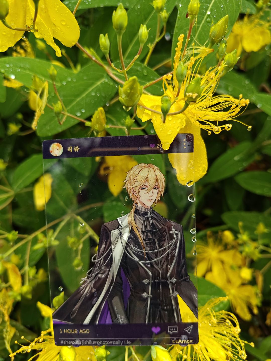 花与枯叶之间 3