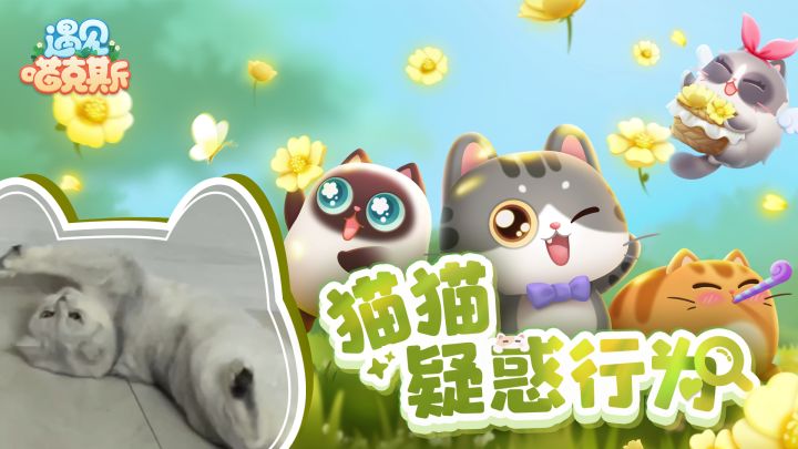 【喵星人日常】猫猫疑惑行为大赏截图