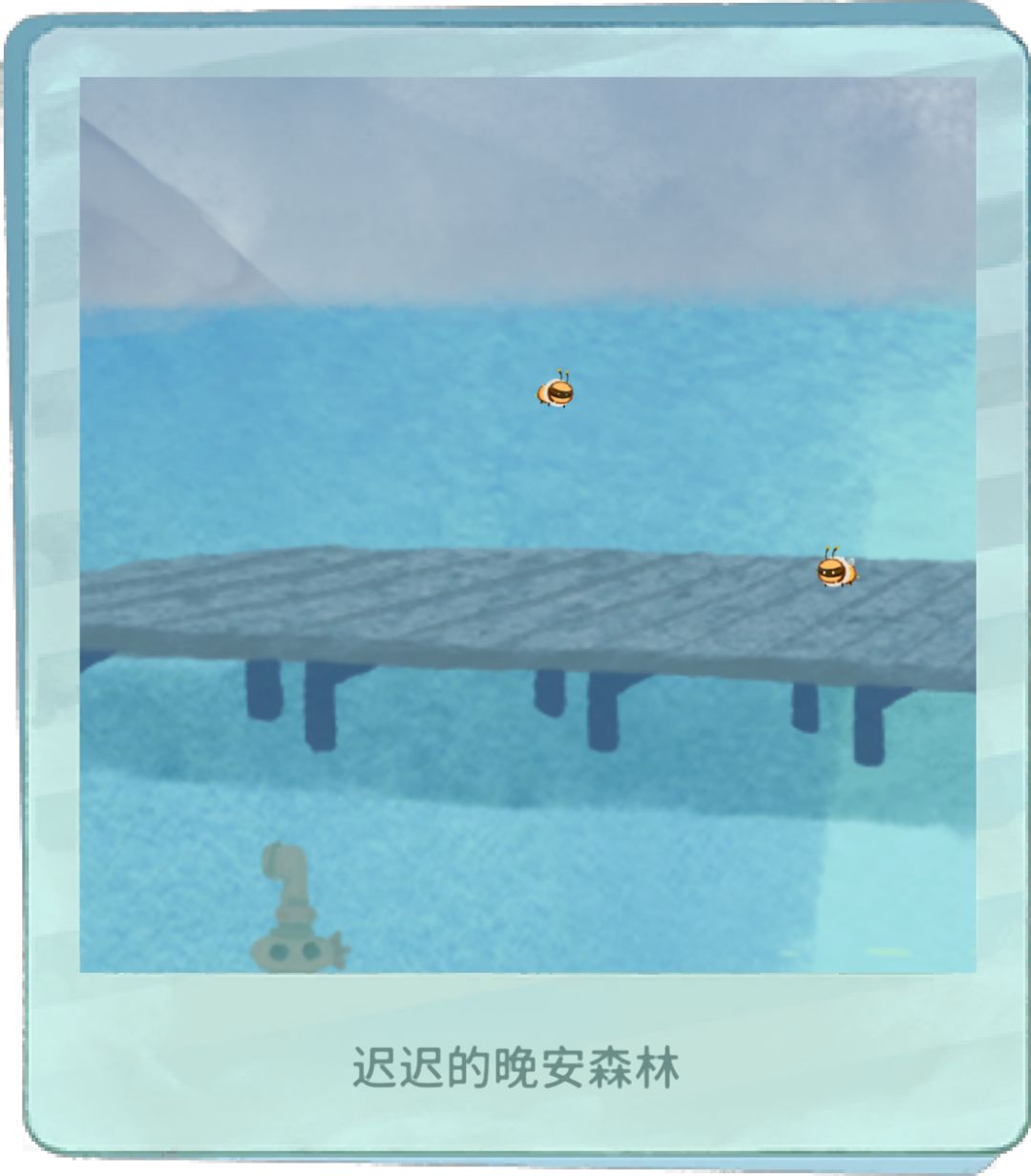 小动物赏 2