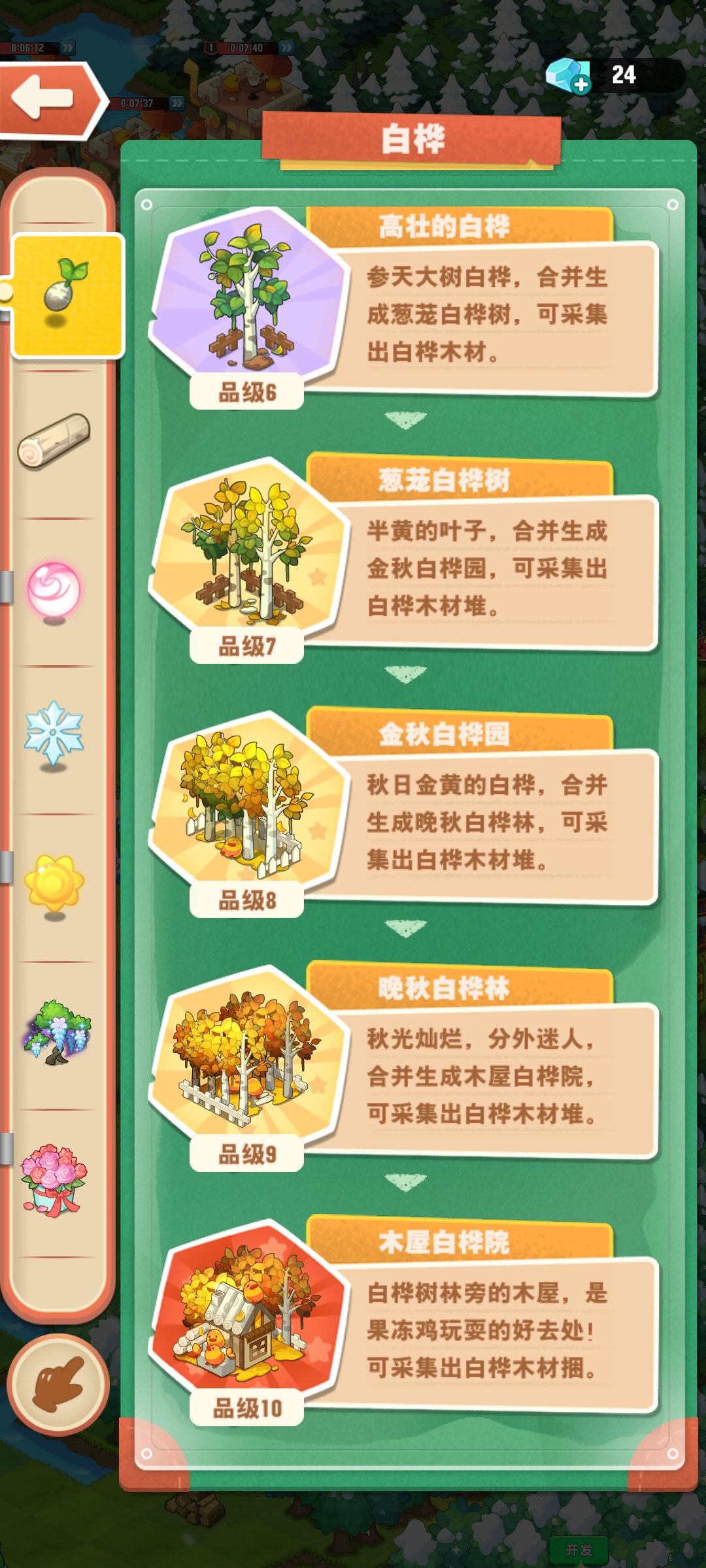 白桦 2