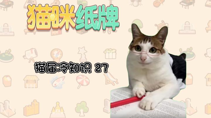 《猫咪纸牌》猫界冷知识 27--飞吻示爱礼😽截图