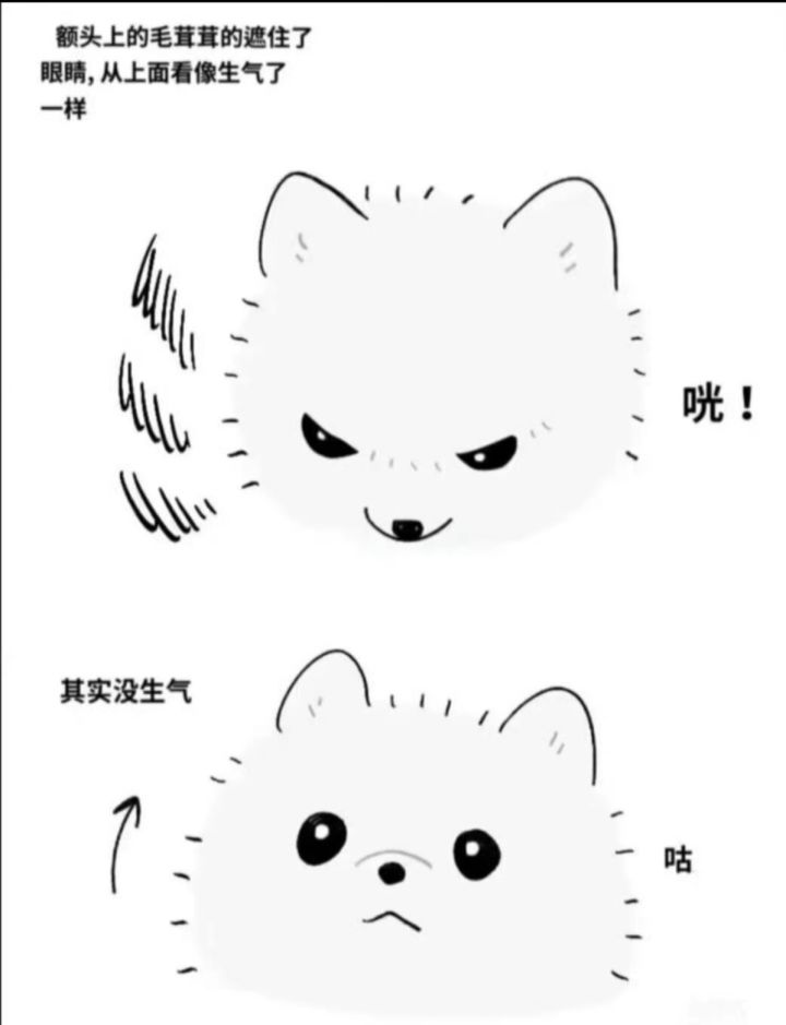 生气啦?不是哦只是刘海挡住了眼睛截图
