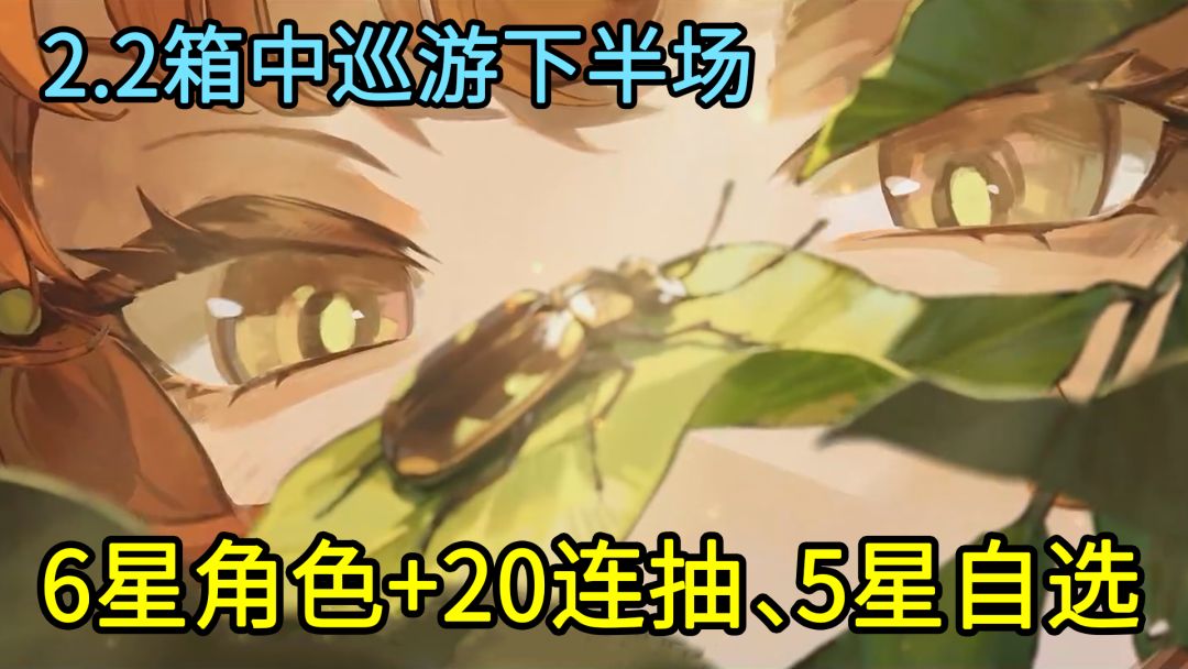 video-4471489