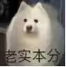 期待你游变成阴兵游戏截图