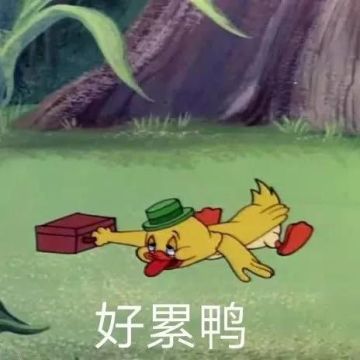 【趣味福利小活动】运动无止境