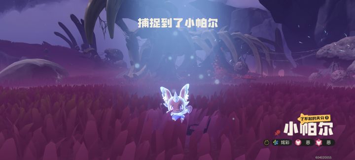 野生的炫彩帕尔截图