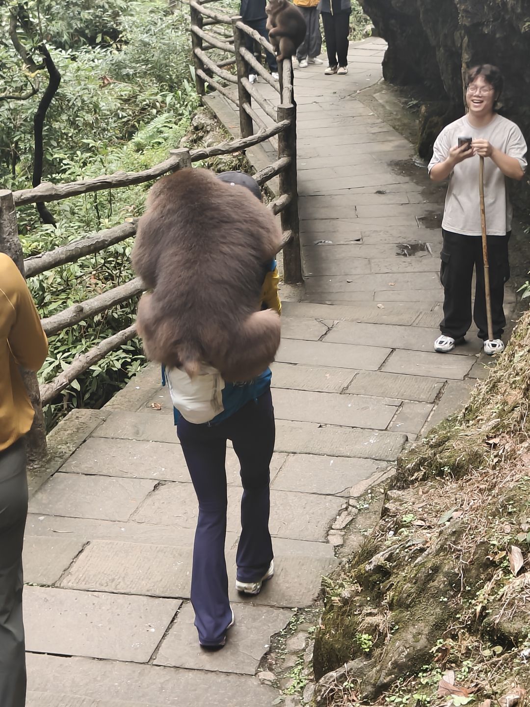 烟批来峨眉山旅游打卡 3