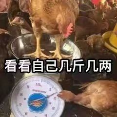游戏优化太好了截图