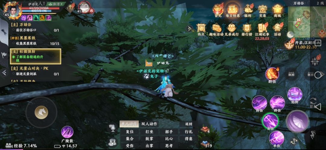 树中逗宠 新手宠物 2