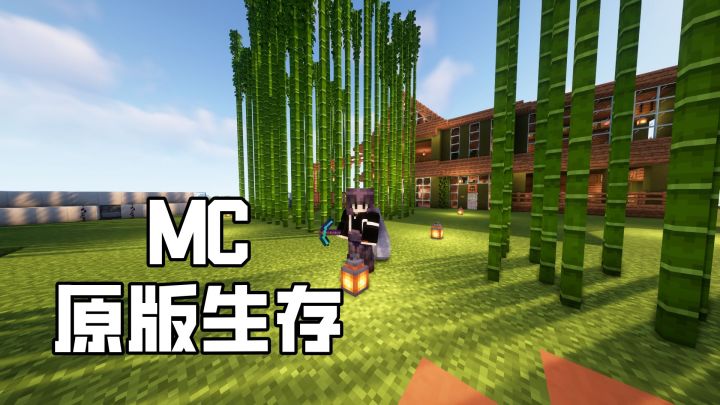 我创建了一个能玩一辈子的生存存档【我的世界原版生存】截图