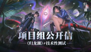 「技术性测试」项目组公开信