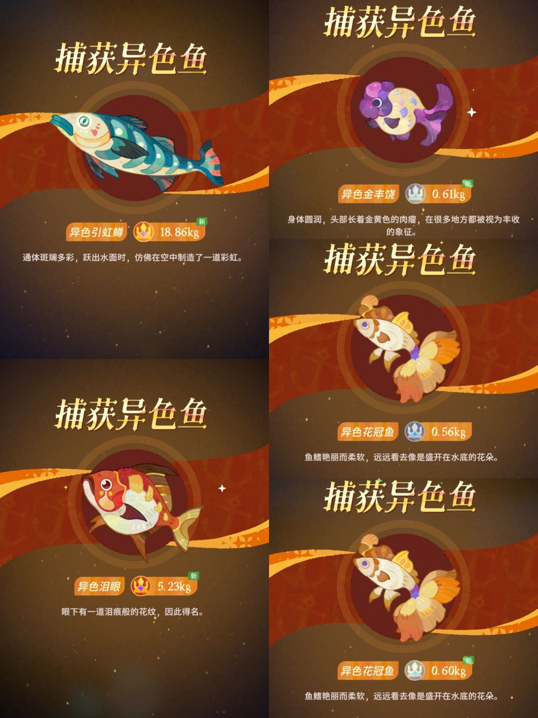 刚钓的,半个小时五条异色 1