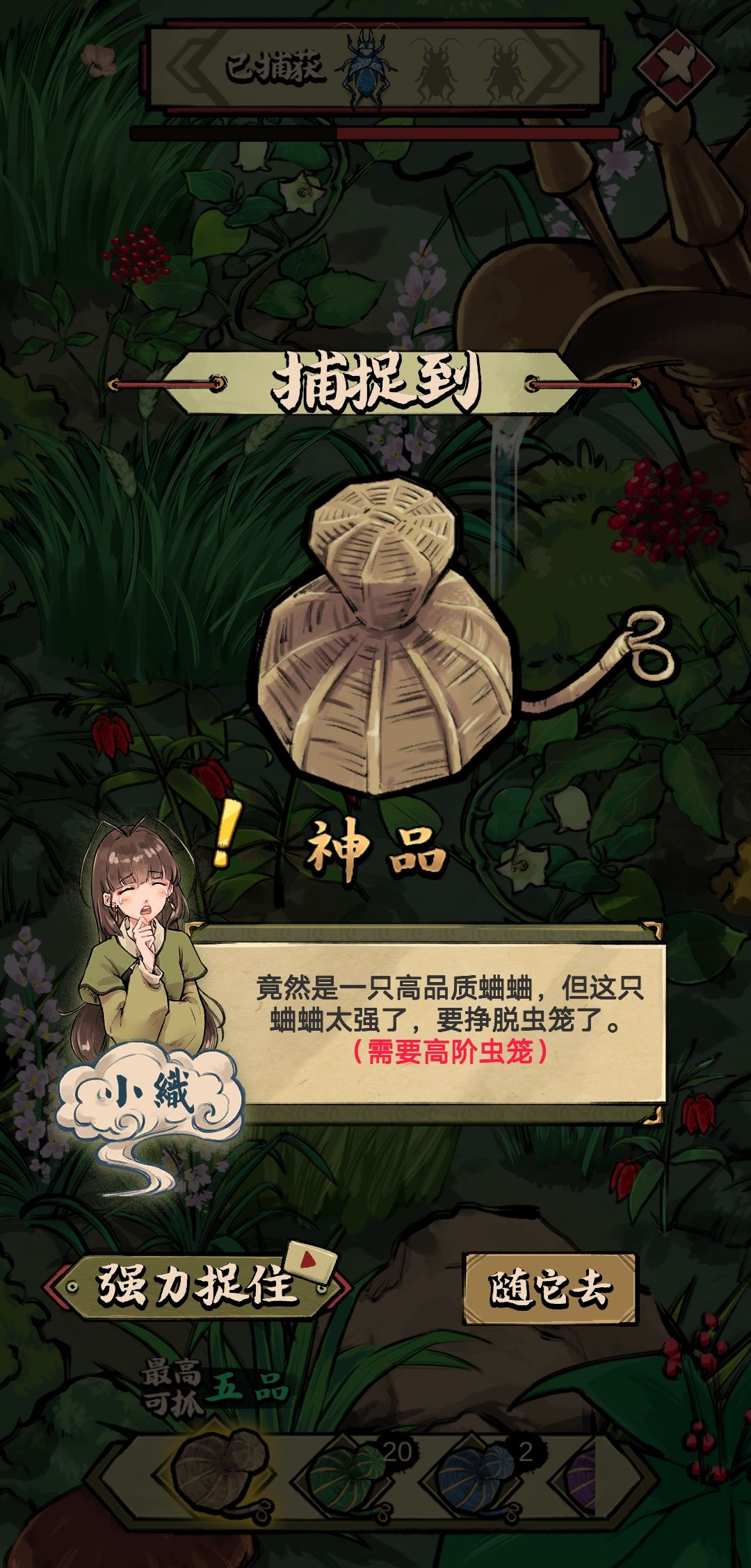 动态图片 6