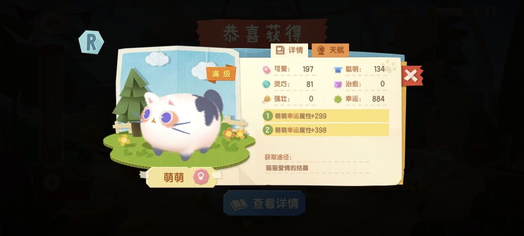 记录一下被我忍痛送走的咪们 4